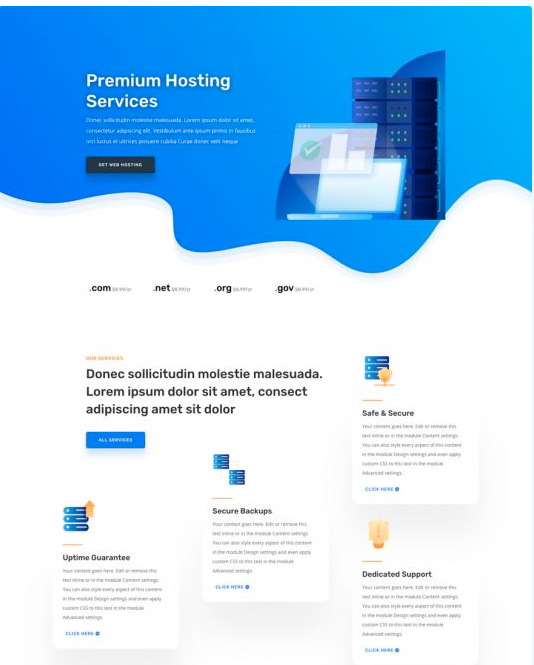 strona Internetowa dla usług hostingowych