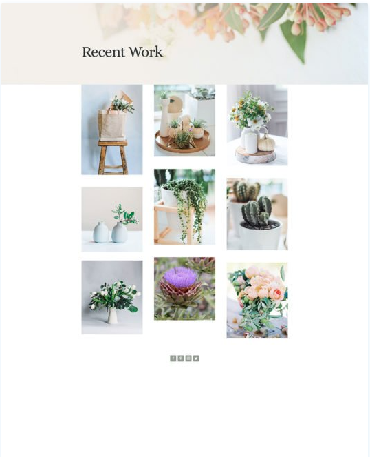 strona dla kwiaciarni na wordpress